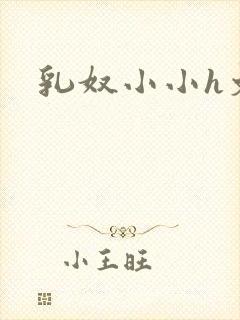 乳奴小小h文