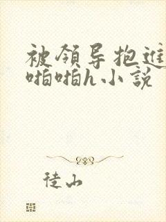 被领导抱进卧室啪啪h小说