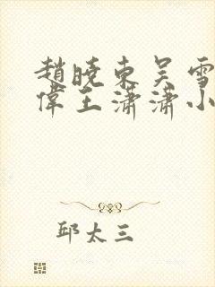 赵晓东吴雪晴郑伟王潇潇小说名字