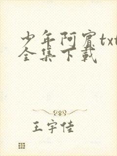 少年阿宾txt全集下载