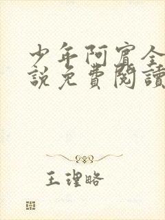 少年阿宾全文小说免费阅读笔趣阁