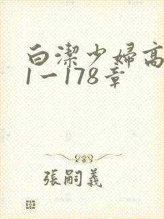 白洁少妇高义第1一178章