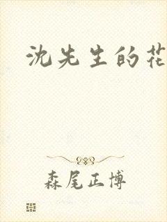 沈先生的花式封面