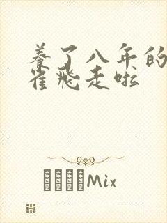 养了八年的金丝雀飞走啦