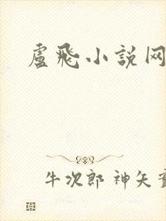 卢飞小说网