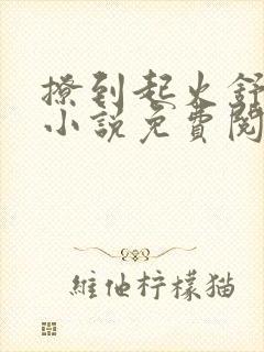 撩到起火舒漾的小说免费阅读全文