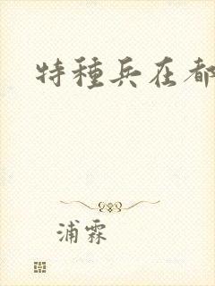 特种兵在都市