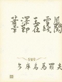 萧泽王雪凤全部章节在线阅读小说