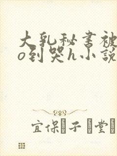 大乳秘书被cao到哭h小说