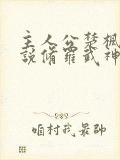 主人公楚枫的小说修罗武神