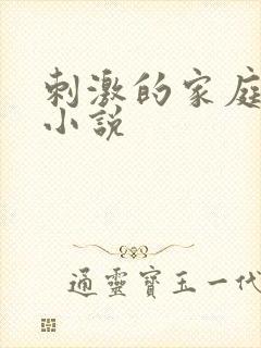 刺激的家庭乱仑小说封面