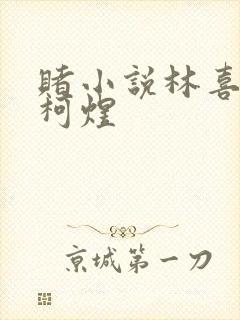 赌小说林喜朝和柯煜封面