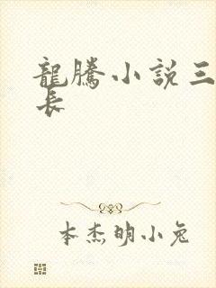 龙腾小说三宝局长