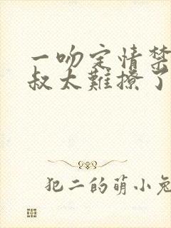 一吻定情禁欲小叔太难撩了