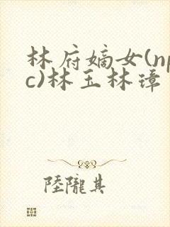 林府嫡女(npc)林玉林璋