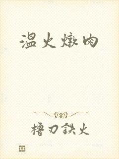 温火炖肉