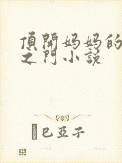 顶开妈妈的生命之门小说封面