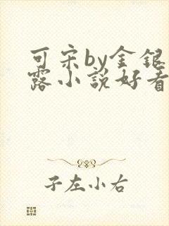 可宋by金银花露小说好看吗