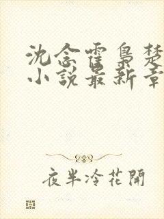 沈念霍枭楚莹莹小说最新章节更新免费阅读