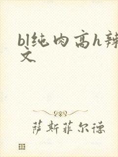 bl纯肉高h辣文