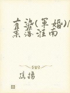 有染(军婚)/叶落淮南封面