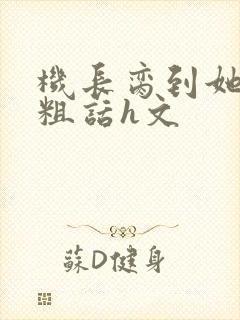 机长脔到她哭h粗话h文封面