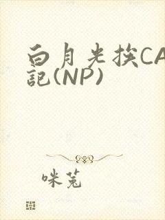 白月光挨CAO记(NP)封面