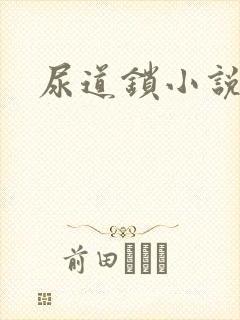 尿道锁小说封面