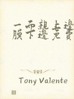 一面亲上边一面膜下边免费阅读