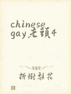 chinesegay老头4