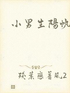 小男生阳帆封面