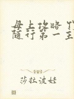 母上攻略 竹影随行第一主板封面