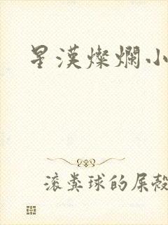 星汉灿烂小说
