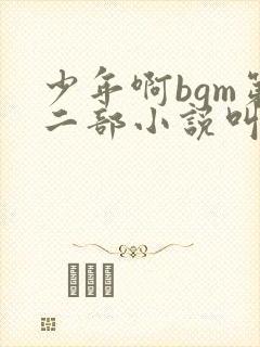少年啊bgm第二部小说叫什么