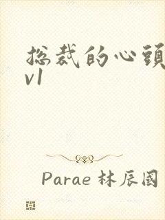 总裁的心头宝1v1