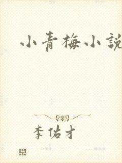 小青梅小说封面