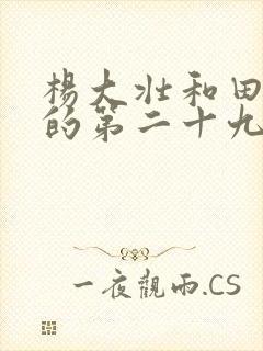 杨大壮和田桂花的第二十九封面