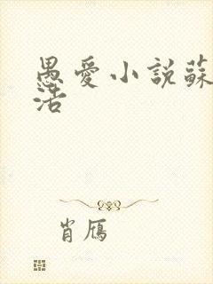 愚爱小说苏倩孙浩