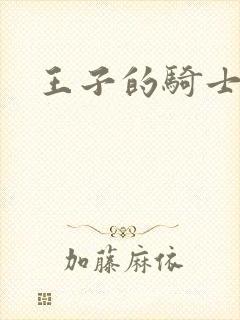 王子的骑士