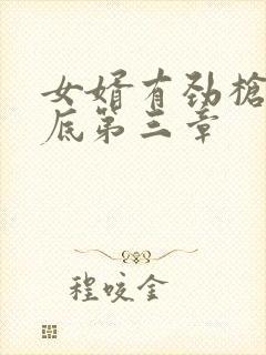 女婿有劲枪枪到底第三章