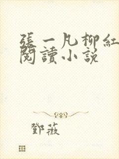张一凡柳红免费阅读小说