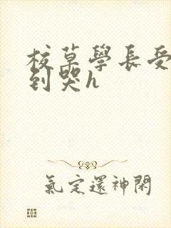 校草学长受被做到哭h