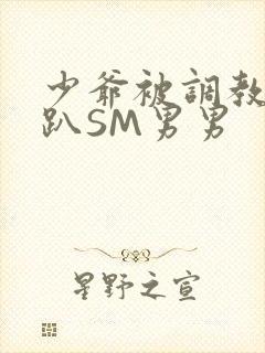 少爷被调教室跪趴SM男男封面