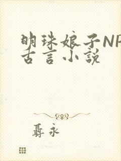 明珠娘子NPC古言小说封面