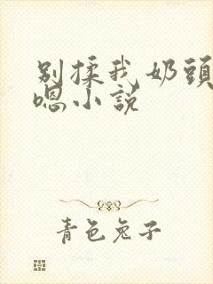 别揉我奶头啊嗯嗯小说