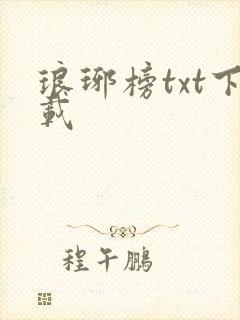 琅琊榜txt下载