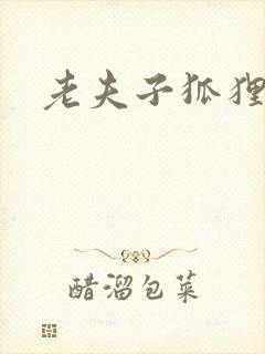 老夫子狐狸仙封面