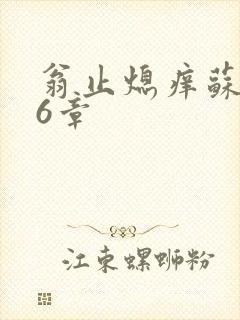 翁止熄痒苏玥第6章