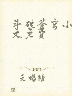 斗破苍穹小说全文免费封面