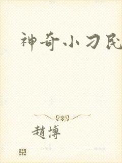 神奇小刁民